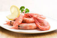 Shrimps